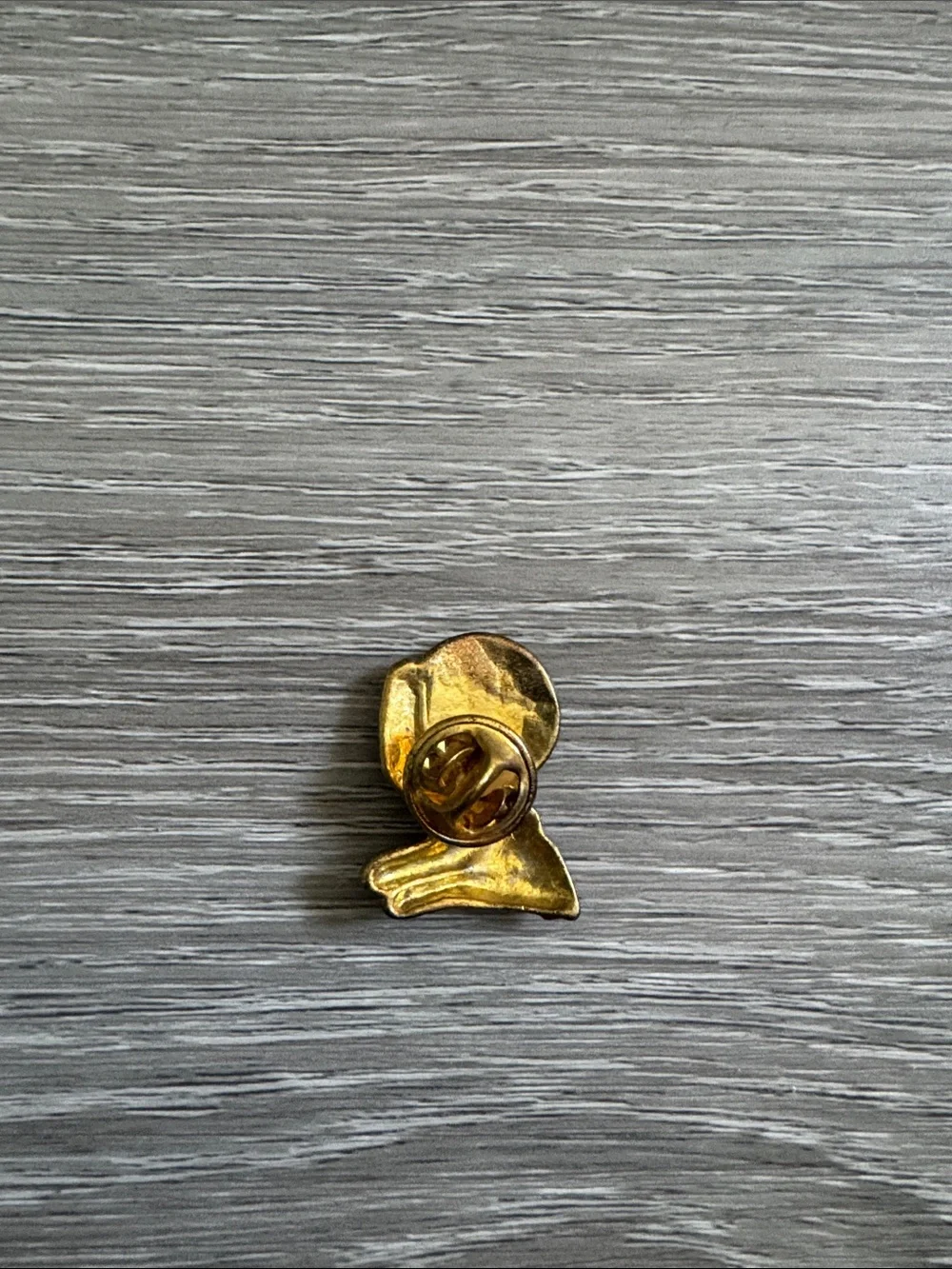 He has the whole world in His hands Gold-Tone Globe Lapel Pin in Blue and Green